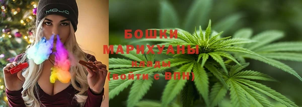 круглые Ельня