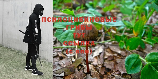 дурь Елабуга